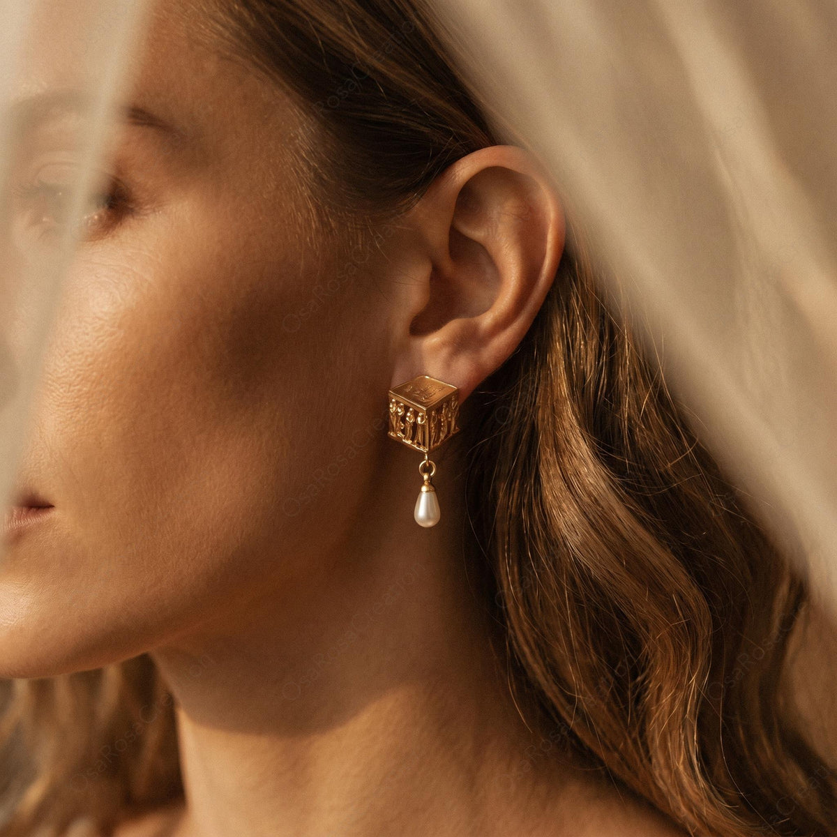 Boucles d'oreilles l'Académie de Platon